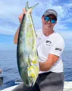 Dolphinfish Dolphinfish