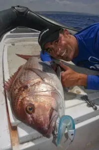 A pink dentex buggered by a white/blue shad fishing trip